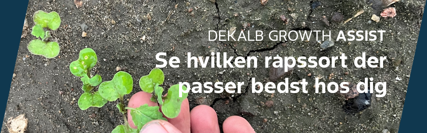 Key visual til Dekalb Growth Assist